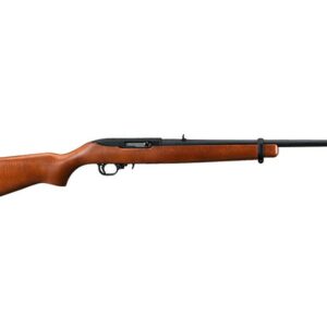 <div style="font-size: 20px;">Ruger<br/>10/22 CARBINE 22LR BL/WD 10+1</div><BR/><div style="font-size: 12px;">#736676011032</div>