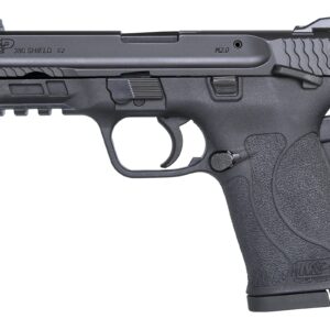 <div style="font-size: 20px;">Smith and Wesson<br/>M&P380 SHIELD EZ 380ACP SAFETY</div><BR/><div style="font-size: 12px;">#22188869743</div>