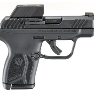<div style="font-size: 20px;">Ruger<br/>LCP MAX 380ACP BLK READYDOT</div><BR/><div style="font-size: 12px;">#736676137589</div>
