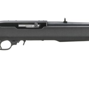 <div style="font-size: 20px;">Ruger<br/>10/22 22LR BLK/SYN MOE X22   #</div><BR/><div style="font-size: 12px;">#736676312238</div>