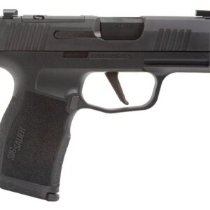 <div style="font-size: 20px;">SIG SAUER<br/>P365X 9MM NITRON 3.1" 12+1 NS</div><BR/><div style="font-size: 12px;">#798681663859</div>