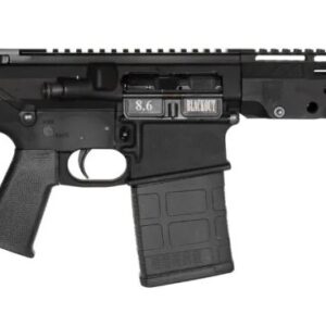 <div style="font-size: 20px;">Diamondback Firearms<br/>DB10 8.6BLK BLK 12" BRACE</div><BR/><div style="font-size: 12px;">#810035754461</div>