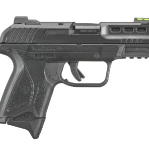 <div style="font-size: 20px;">Ruger<br/>SECURITY-380 380ACP BLK 15+1</div><BR/><div style="font-size: 12px;">#736676038398</div>