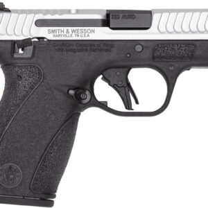 <div style="font-size: 20px;">Smith & Wesson<br/>S&W BG2.0 380 12R 2TN TS NS DE</div><BR/><div style="font-size: 12px;">#22188901399</div>