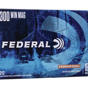 <div style="font-size: 20px;">Federal<br/>FDR 300 180GR PWRSK SP 20RD</div><BR/><div style="font-size: 12px;">#29465091415</div>