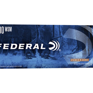 <div style="font-size: 20px;">Federal<br/>FDR 300WSM 180GR PWRSK SP 20RD</div><BR/><div style="font-size: 12px;">#29465095055</div>