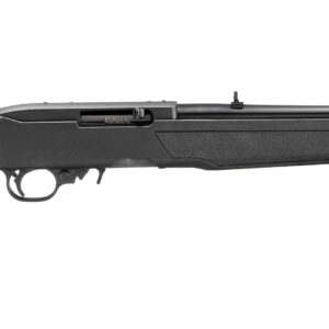 <div style="font-size: 20px;">Ruger<br/>10/22 CARB 22LR BL/SYN 18.5"</div><BR/><div style="font-size: 12px;">#736676320028</div>