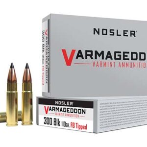 <div style="font-size: 20px;">Nosler<br/>NOS 300BLK 110GR VARM FBT 20RD</div><BR/><div style="font-size: 12px;">#54041401272</div>