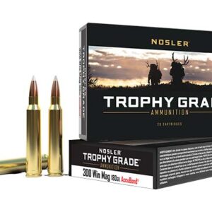 <div style="font-size: 20px;">Nosler<br/>NOS 300 180GR TG ACUBND 20RD</div><BR/><div style="font-size: 12px;">#54041600590</div>