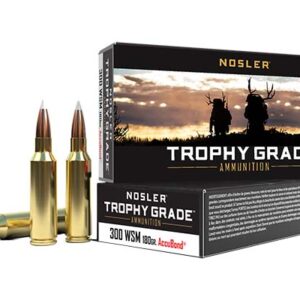 <div style="font-size: 20px;">Nosler<br/>NOS 300WSM 180GR TG ACUBND 20R</div><BR/><div style="font-size: 12px;">#54041600637</div>