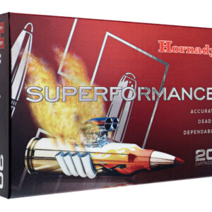 <div style="font-size: 20px;">Hornady<br/>HRN 243 95GR SPF SST 20RD</div><BR/><div style="font-size: 12px;">#90255804638</div>