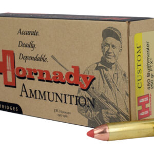 <div style="font-size: 20px;">Hornady<br/>HRN 450BSH 250GR CUST FTX 20RD</div><BR/><div style="font-size: 12px;">#90255822441</div>