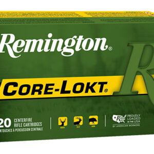 <div style="font-size: 20px;">Remington<br/>REM 300SAV 150GR CORE PSP 20RD</div><BR/><div style="font-size: 12px;">#47700055404</div>